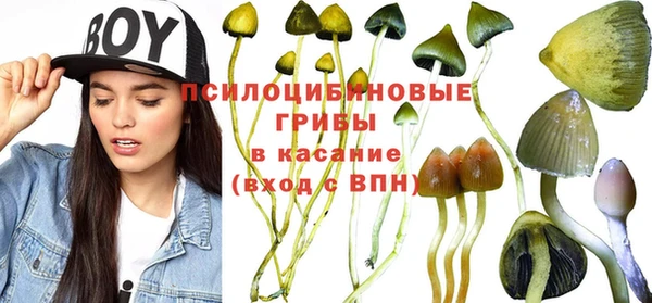 ГАЛЛЮЦИНОГЕННЫЕ ГРИБЫ Алзамай
