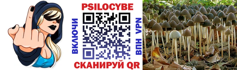 Псилоцибиновые грибы Psilocybine cubensis  цены наркотик  Яхрома 